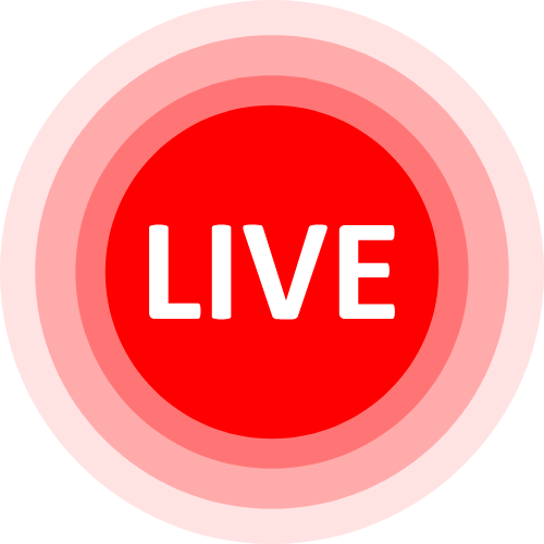 805 Webcam